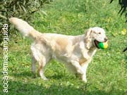 Dolly gioca con la palla